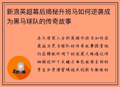 新浪英超幕后揭秘升班马如何逆袭成为黑马球队的传奇故事